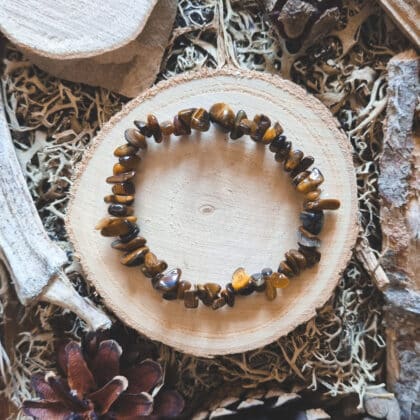 Pulsera Chip Ojo de Tigre