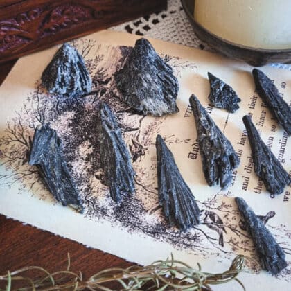 Cianita Negra (Escoba de Bruja)